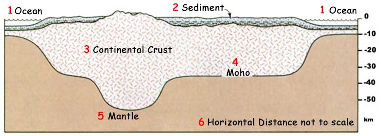mountain root