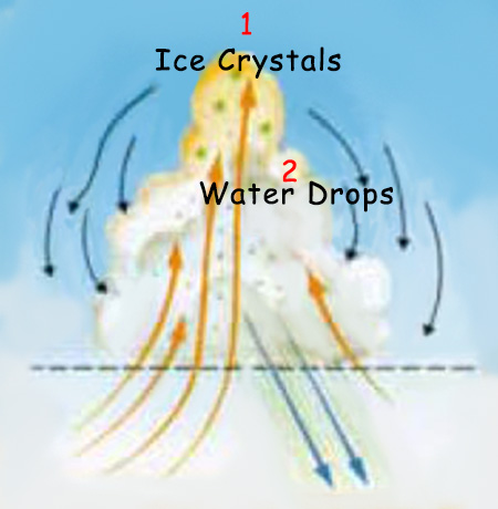 The Formation of Rain