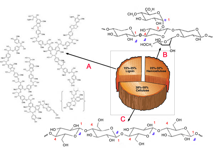 chemical structure of wood