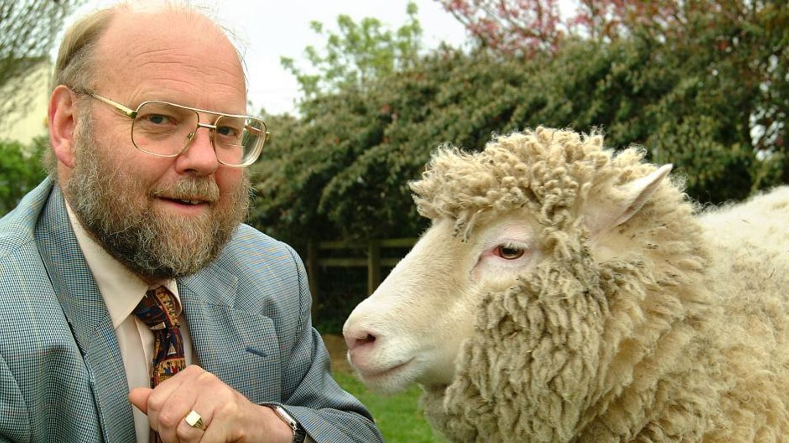 dolly the cloned