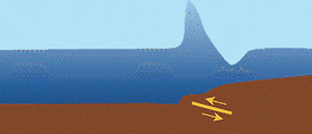 tsunami